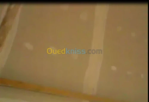 plaque au platre charpente couverture