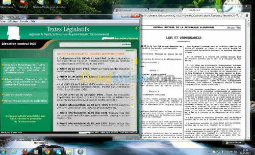 hygiène sécurité environnement Algérie