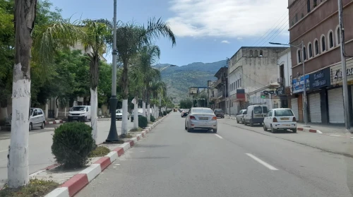 Location Appartement F2 Blida Blida