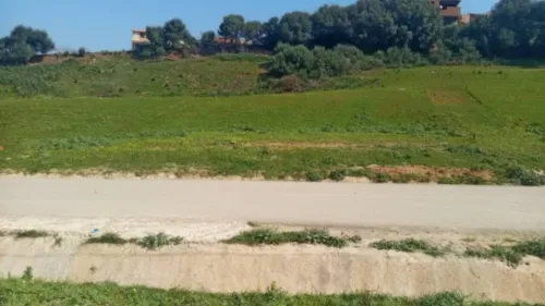 Vente Terrain Boumerdès Tidjelabine