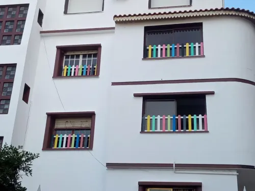 Clôture en bois 