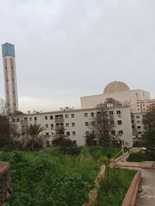 Vente Appartement F4 Alger Mohammadia