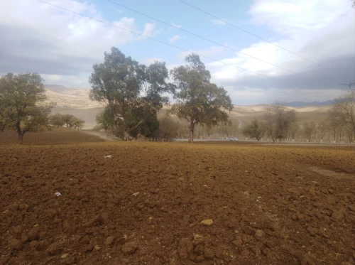 Vente Terrain Agricole Médéa Medea