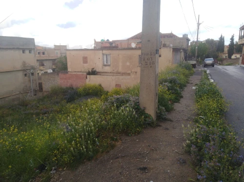 Vente Terrain Médéa Berrouaghia