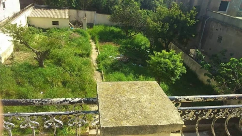 Vente Terrain Alger Birkhadem