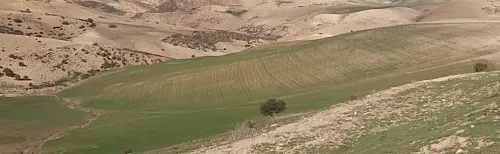 Vente Terrain Agricole Sidi Bel Abbès Ain thrid