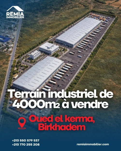 Vente Terrain Alger Birkhadem
