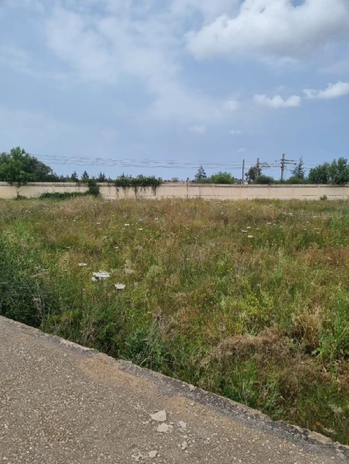 Vente Terrain Alger Dar el beida