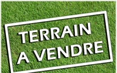 Vente Terrain Alger Hammamet