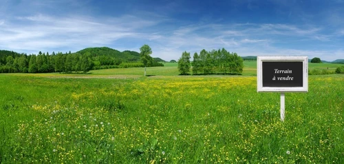 Vente Terrain Alger Birtouta