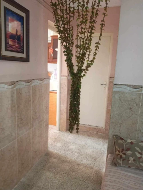 Vente Appartement F3 Chlef Chlef