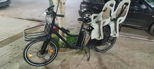 Cargo douze cycle LT1