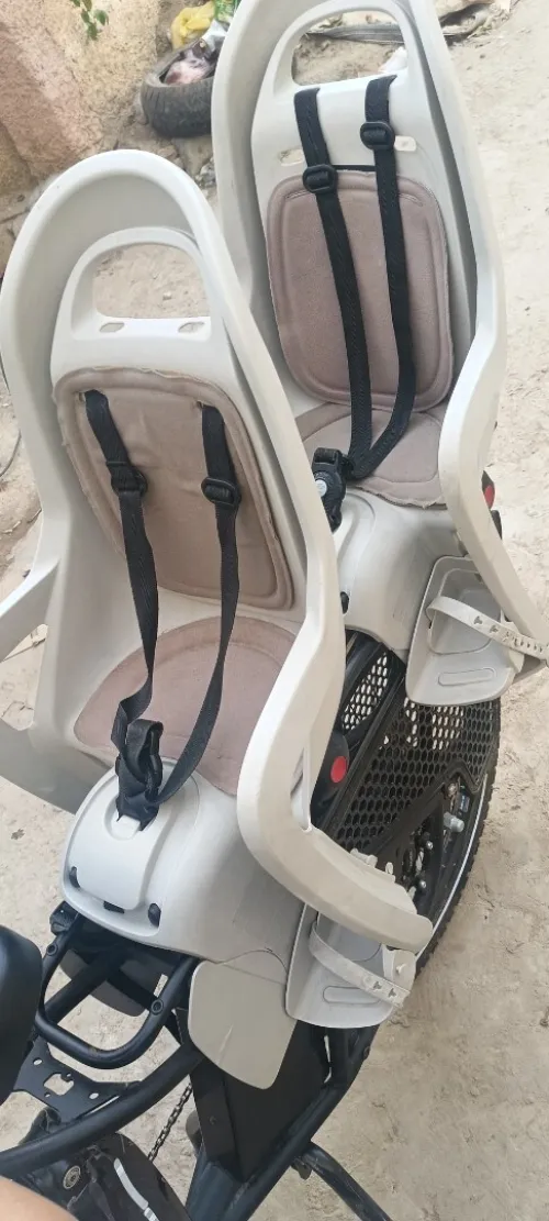 Cargo douze cycle LT1