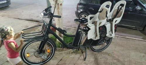 Cargo douze cycle LT1