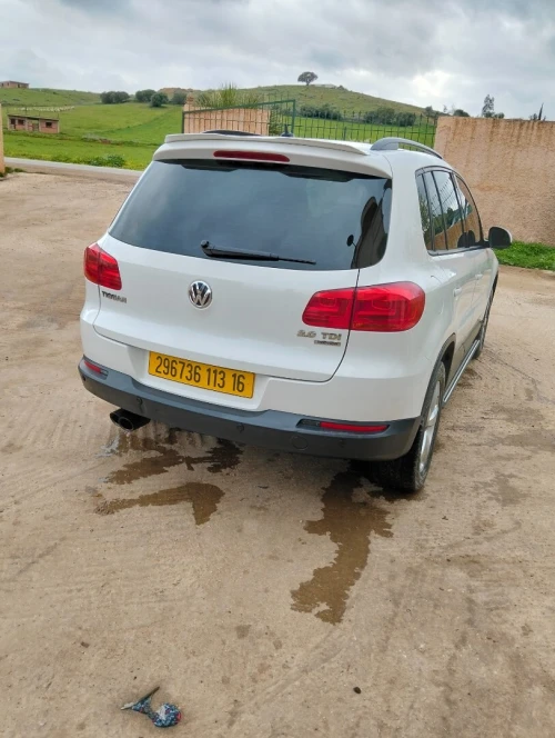 Volkswagen Tiguan 2013 Tiguan