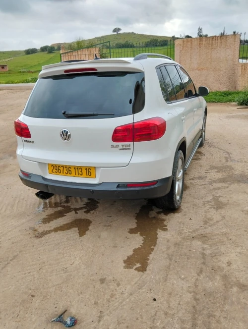 Volkswagen Tiguan 2013 Tiguan