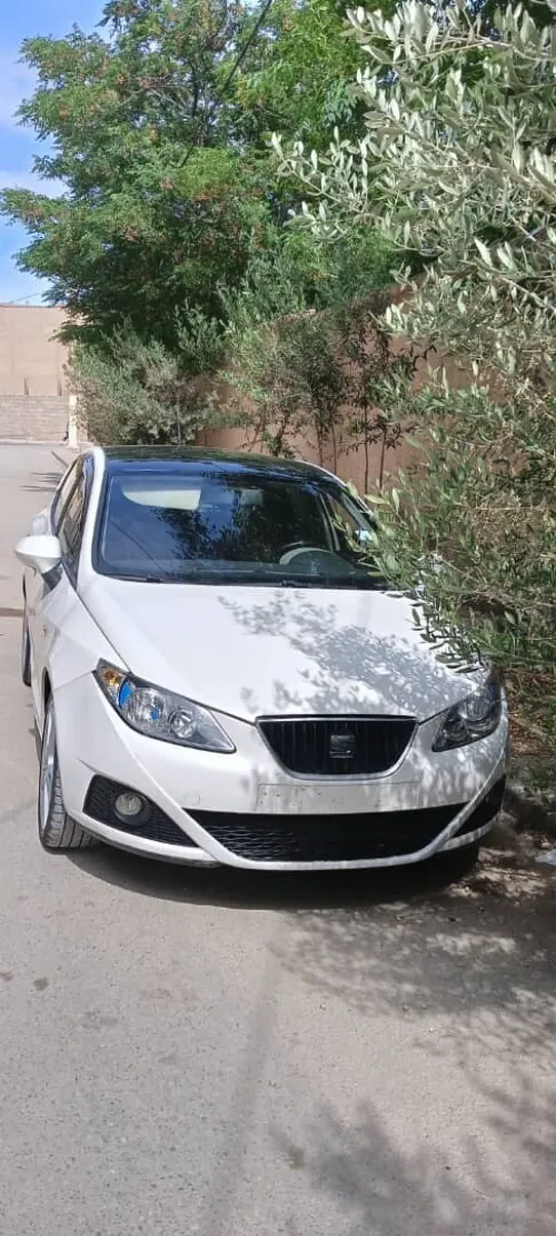 Seat Ibiza 2011 Loca