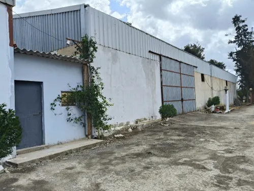 Location Hangar Oran Es senia