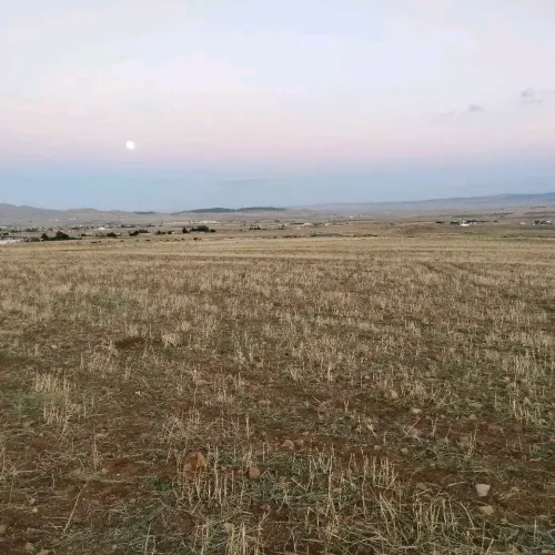 Vente Terrain Agricole Khenchela El hamma