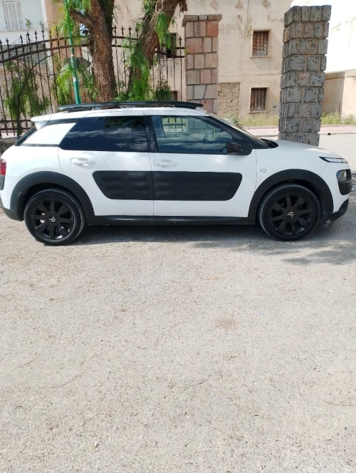 Citroen C4 Cactus 2016 C4 Cactus
