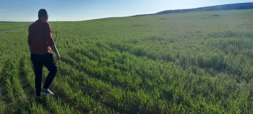 Vente Terrain Agricole Oum El Bouaghi Berriche