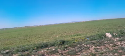 Vente Terrain Agricole Oum El Bouaghi Berriche