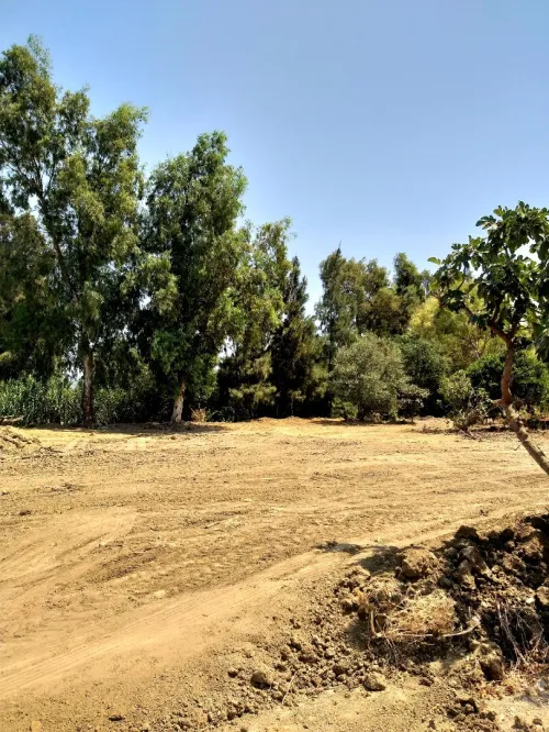 Vente Terrain Blida Ouled selama
