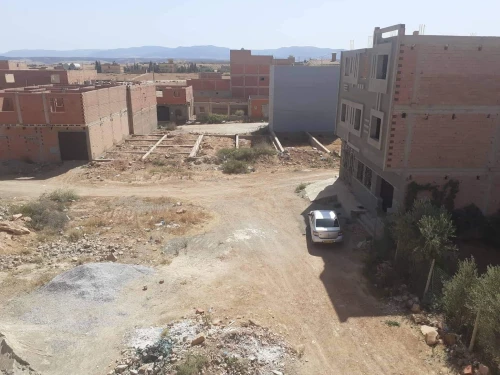 Vente Terrain Tlemcen Maghnia