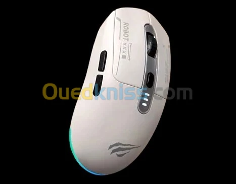 SOURIS HAVIT GAMS64WB SOURIS GAMING SANS FIL 2.4GHz + BLUETOOTH - 6400 DPI, RGB, RECHARGEABLE