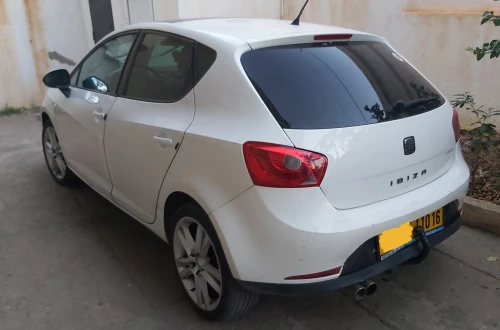 Seat Ibiza 2010 Toit