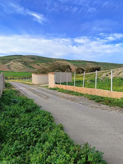 Vente Terrain Aïn Témouchent Ain kihal