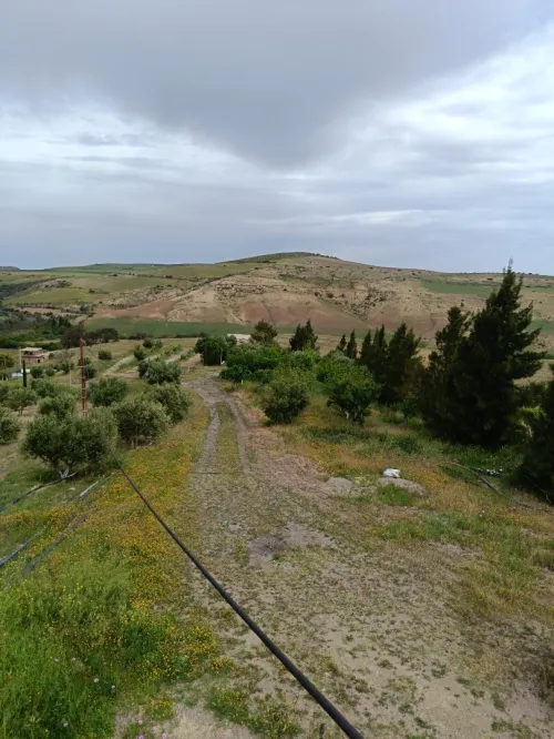 Vente Terrain Aïn Témouchent Ain kihal