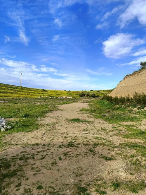 Vente Terrain Aïn Témouchent Ain kihal