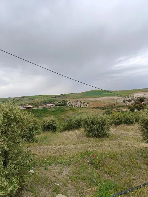 Vente Terrain Aïn Témouchent Ain kihal