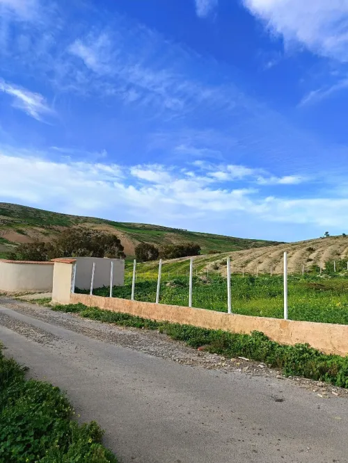 Vente Terrain Aïn Témouchent Ain kihal