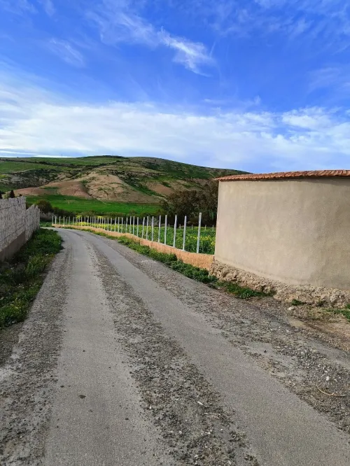 Vente Terrain Aïn Témouchent Ain kihal
