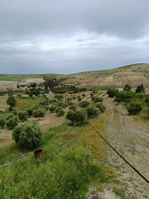 Vente Terrain Aïn Témouchent Ain kihal