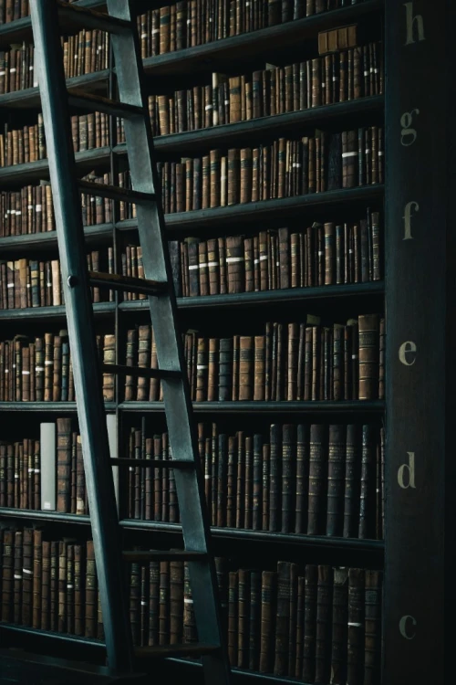 Nos Offres Exceptionnelles sur des E-books Rares et Recherchés