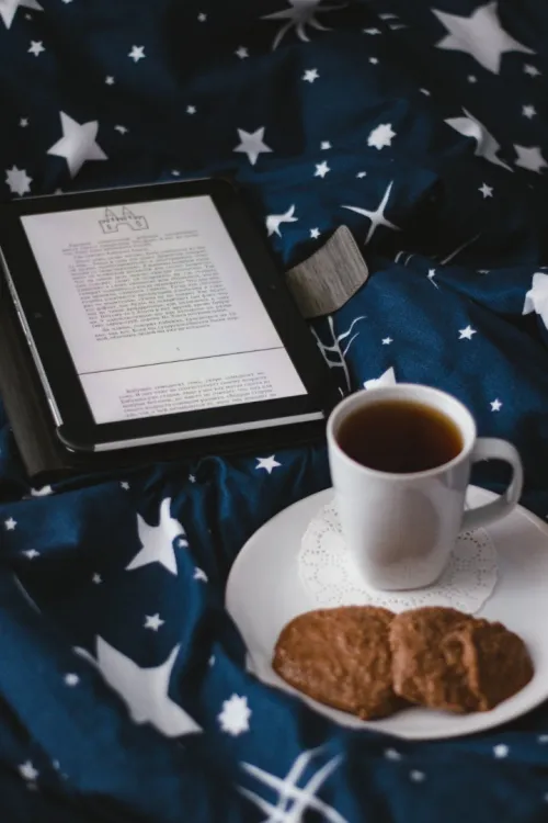 Nos Offres Exceptionnelles sur des E-books Rares et Recherchés
