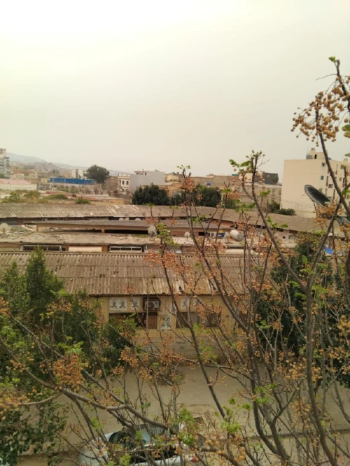 Vente Villa Mascara Mohammadia