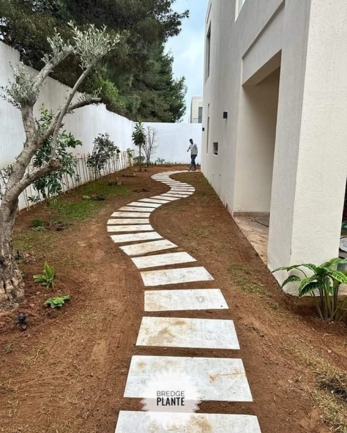 Gazon naturel عشب طبيعي 