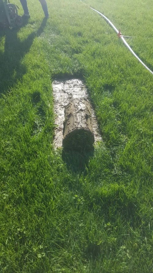 Espace vert naturel