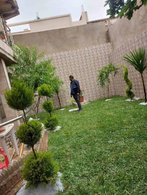 Gazon naturel عشب طبيعي 