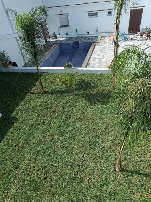 Gazon naturel عشب طبيعي 