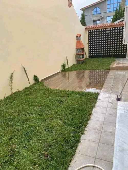 Gazon naturel عشب طبيعي 