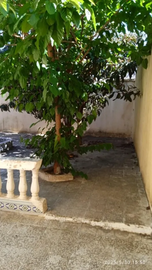 Vente Villa Alger Dely brahim