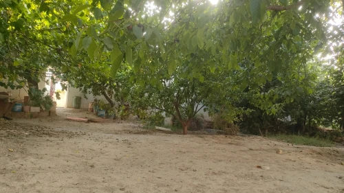 Vente Villa Batna Ngaous