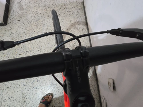 Velo elops