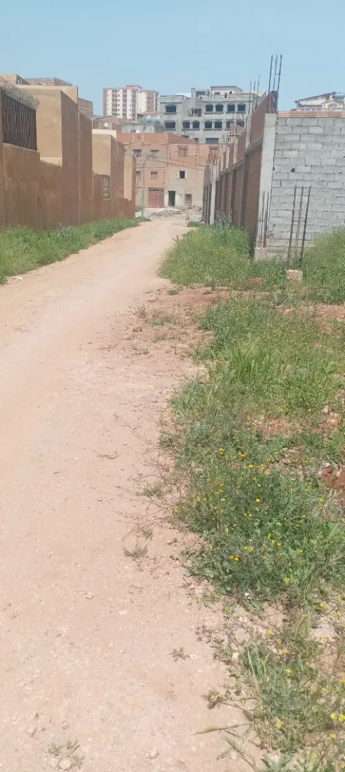 Vente Terrain Tlemcen Tlemcen