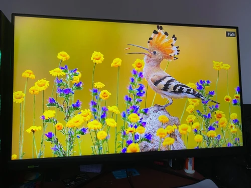 MSI G321Q  WQHD